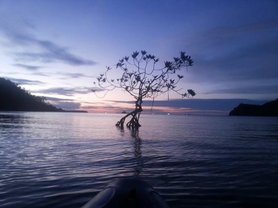 Sumatra Ecolodge Sungaipisang Eksteriør bilde