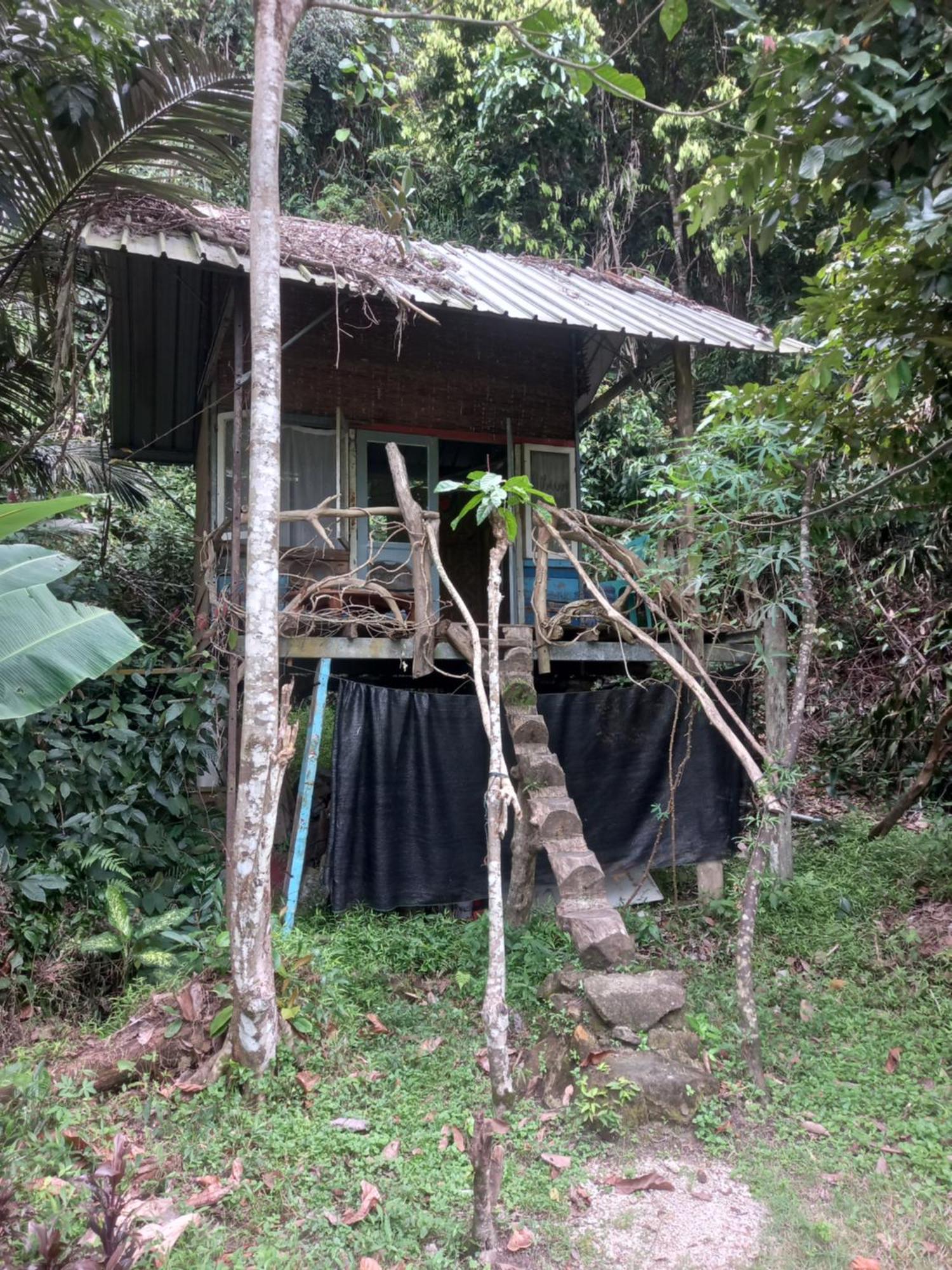 Sumatra Ecolodge Sungaipisang Rom bilde